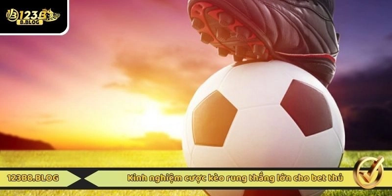 Kinh nghiệm cược kèo rung thắng lớn cho bet thủ